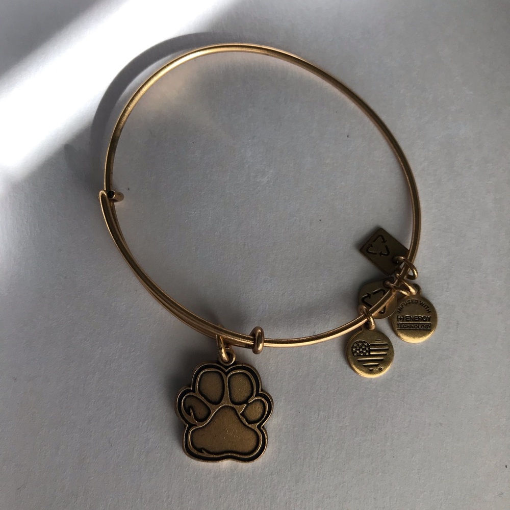 Alex & Ani bracelet